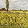 In the Meadow