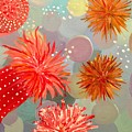 Sea Anemone